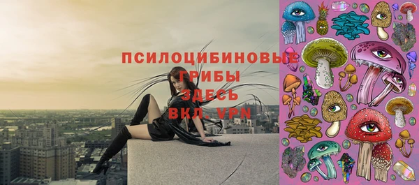 шишки Покачи