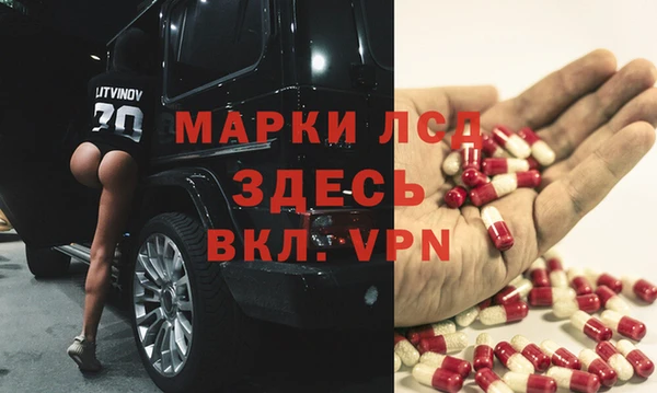 гидра Алексеевка