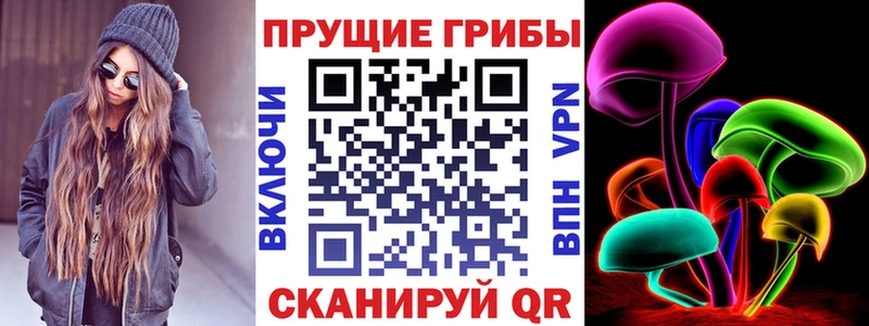 Галлюциногенные грибы MAGIC MUSHROOMS  купить наркотики цена  Курчалой 
